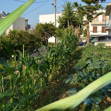Thegaia Studios Rethymno  Exterior photo